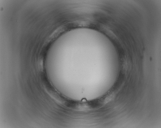 X0000067950262200604272107