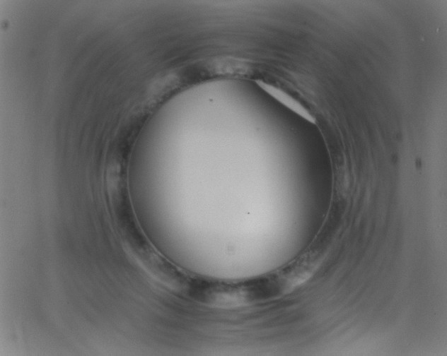 X0000067950263200604272107