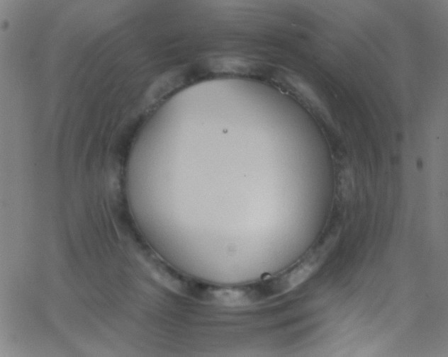 X0000067950265200604272107