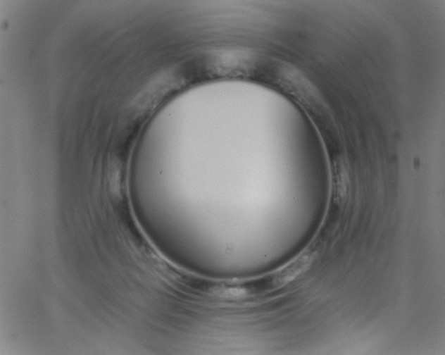 X0000067950266200604272107