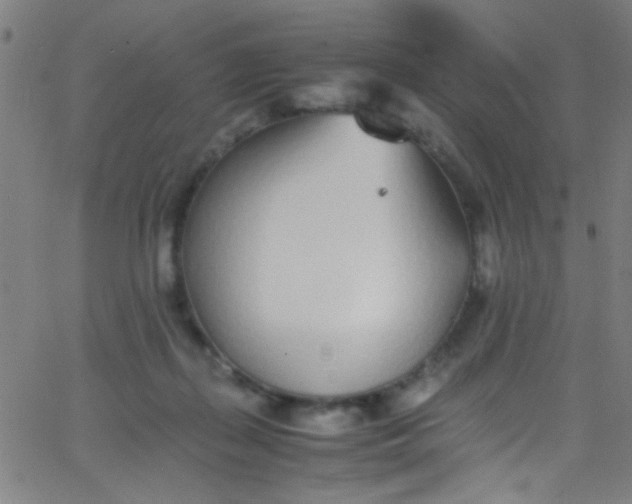 X0000067950267200604272107