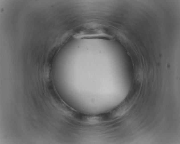 X0000067950268200604272107