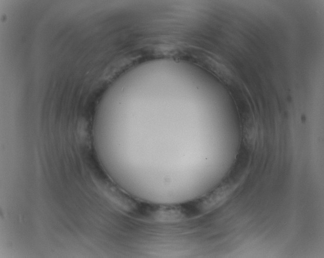 X0000067950270200604272107