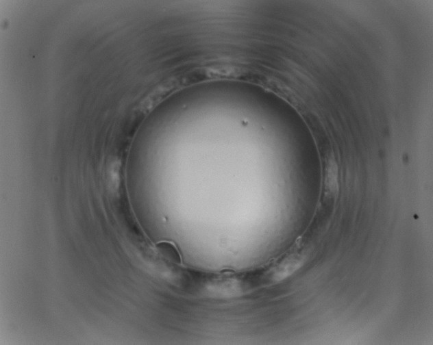 X0000067950271200604272107