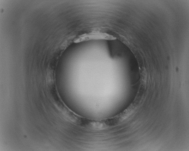 X0000067950272200604272107