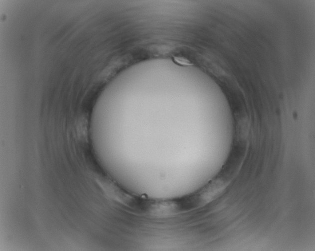 X0000067950274200604272107