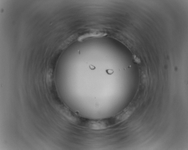 X0000067950275200604272107