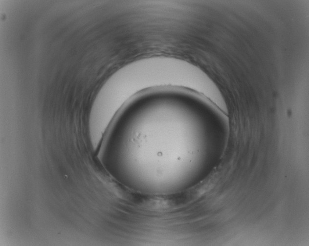 X0000067950276200604272107