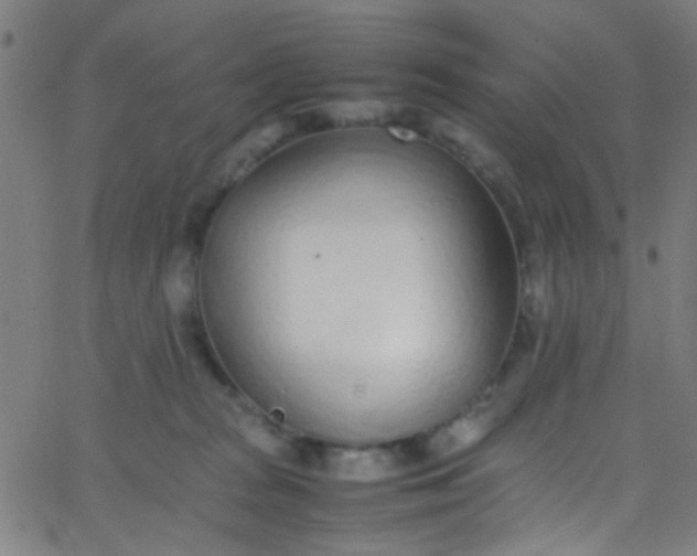 X0000067950277200604272107