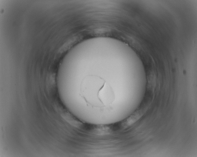 X0000067950278200604272107