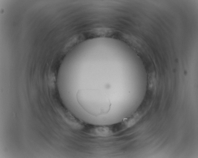 X0000067950279200604272107