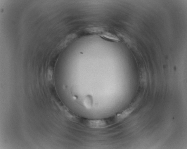 X0000067950281200604272107