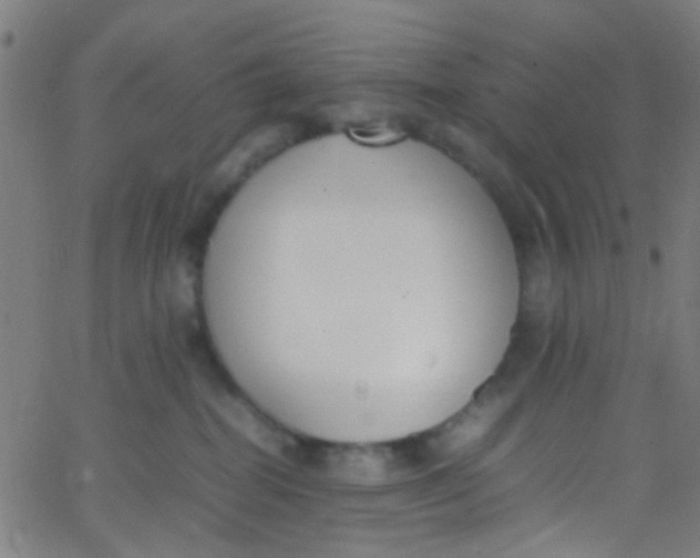 X0000067950282200604272107