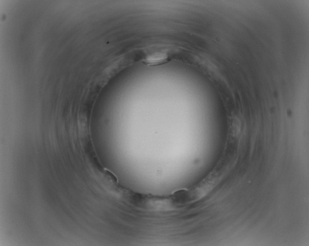 X0000067950283200604272107