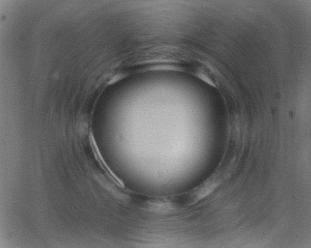 X0000067950284200604272107