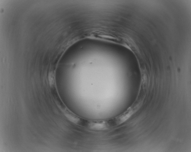 X0000067950285200604272107