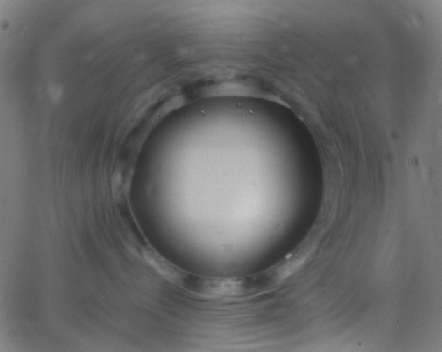 X0000067950288200604272107