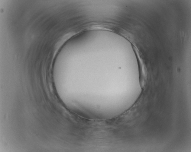 X0000067950289200604272106