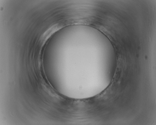 X0000067950290200604272106