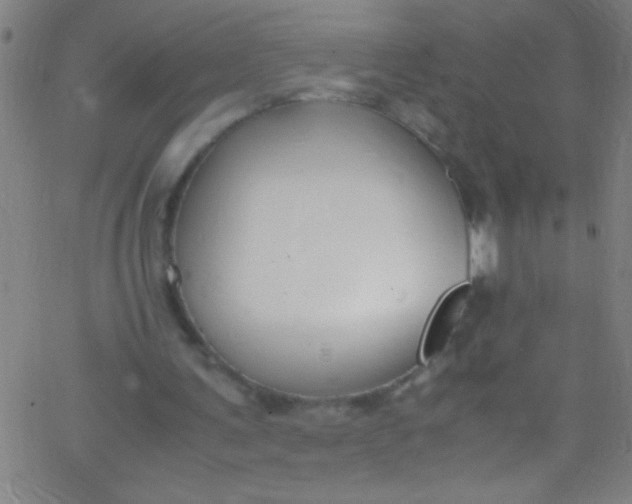 X0000067950291200604272106