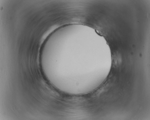 X0000067950292200604272106