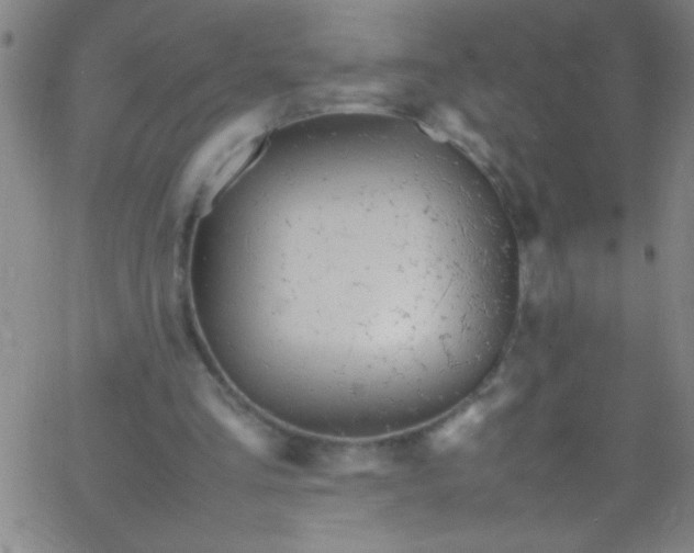 X0000067950293200604272106