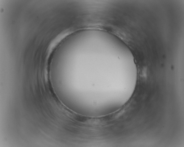 X0000067950294200604272106