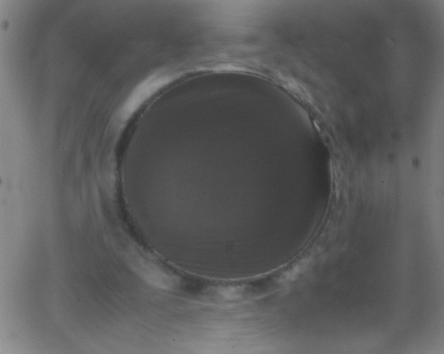 X0000067950295200604272106