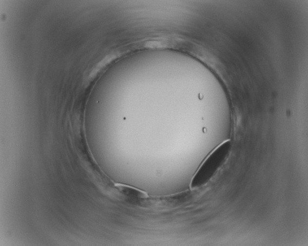 X0000067950297200604272106