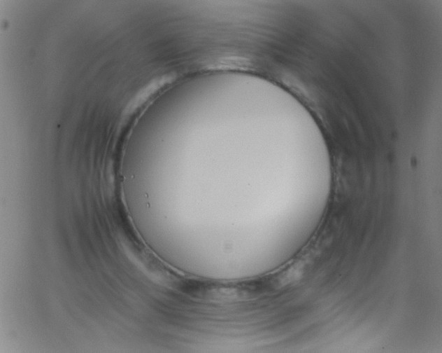 X0000067950298200604272106