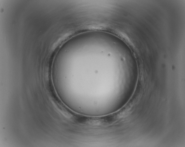 X0000067950299200604272106