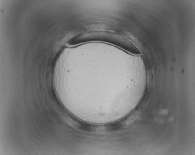 X0000067950301200604272106