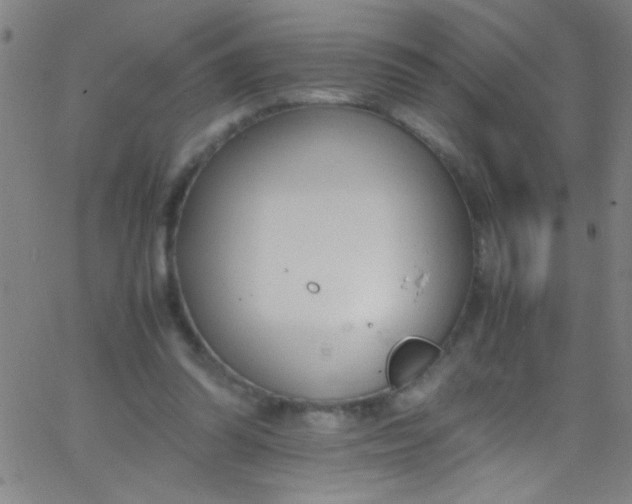 X0000067950302200604272106