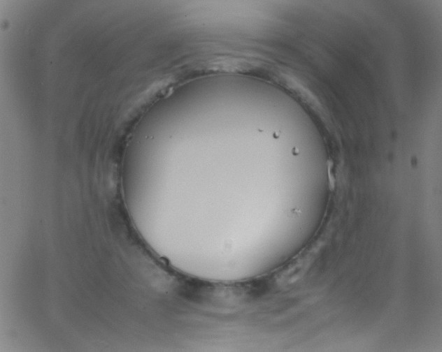 X0000067950305200604272106