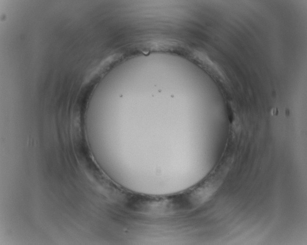 X0000067950306200604272106