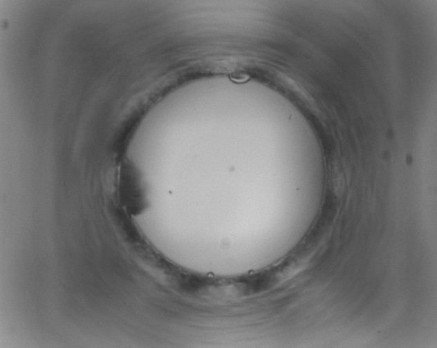 X0000067950307200604272106