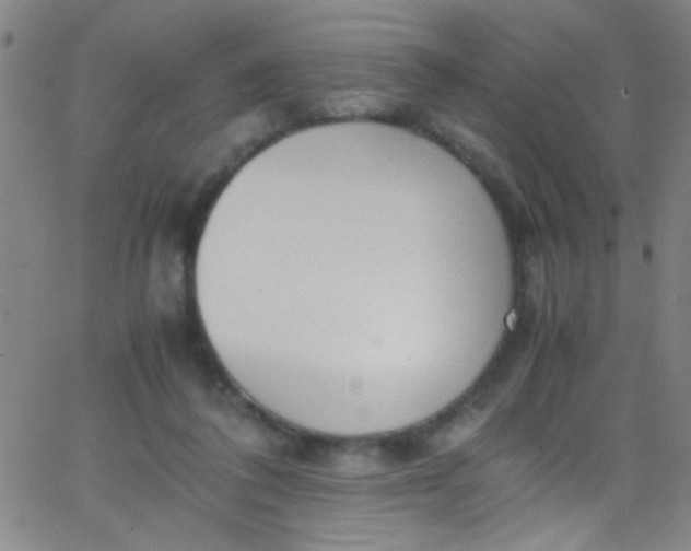 X0000067950308200604272106