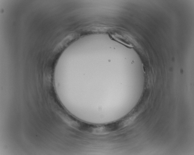 X0000067950309200604272106