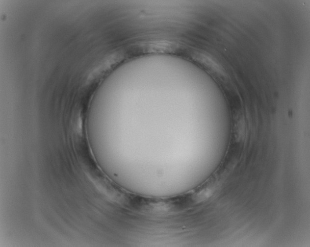 X0000067950310200604272106