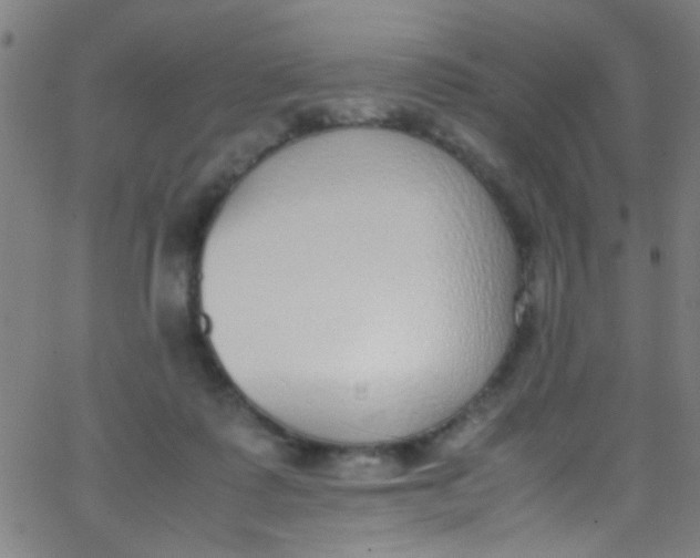 X0000067950315200604272106