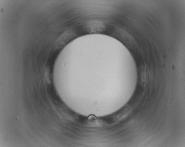 X0000067950316200604272106