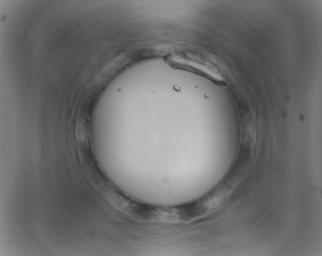 X0000067950317200604272106