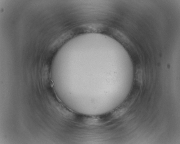 X0000067950318200604272106