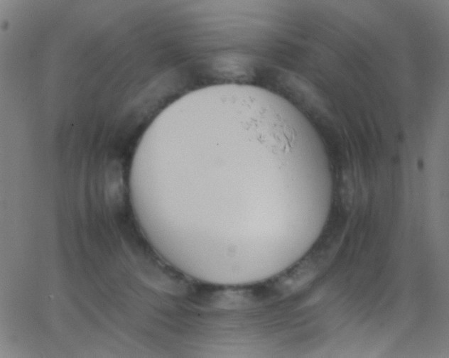 X0000067950320200604272106