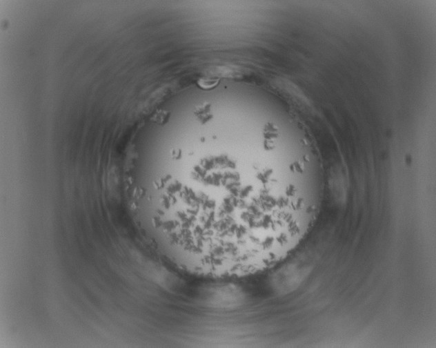 X0000067950322200604272106