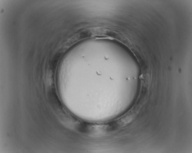 X0000067950323200604272106