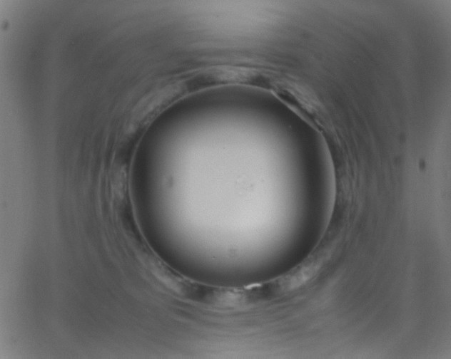 X0000067950325200604272106