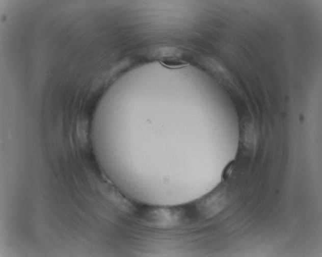 X0000067950326200604272106