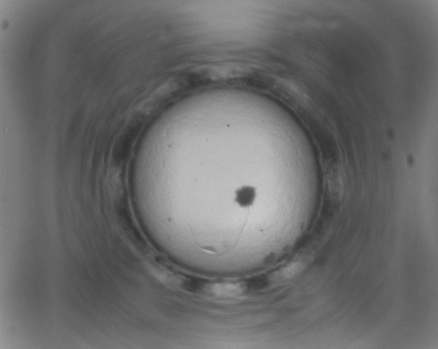 X0000067950327200604272106