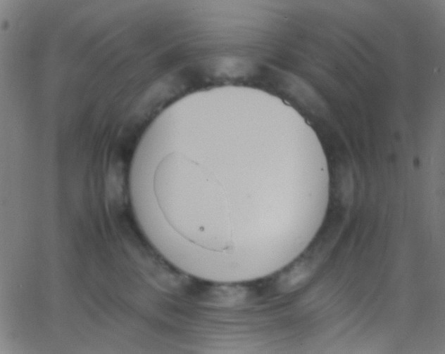 X0000067950328200604272106